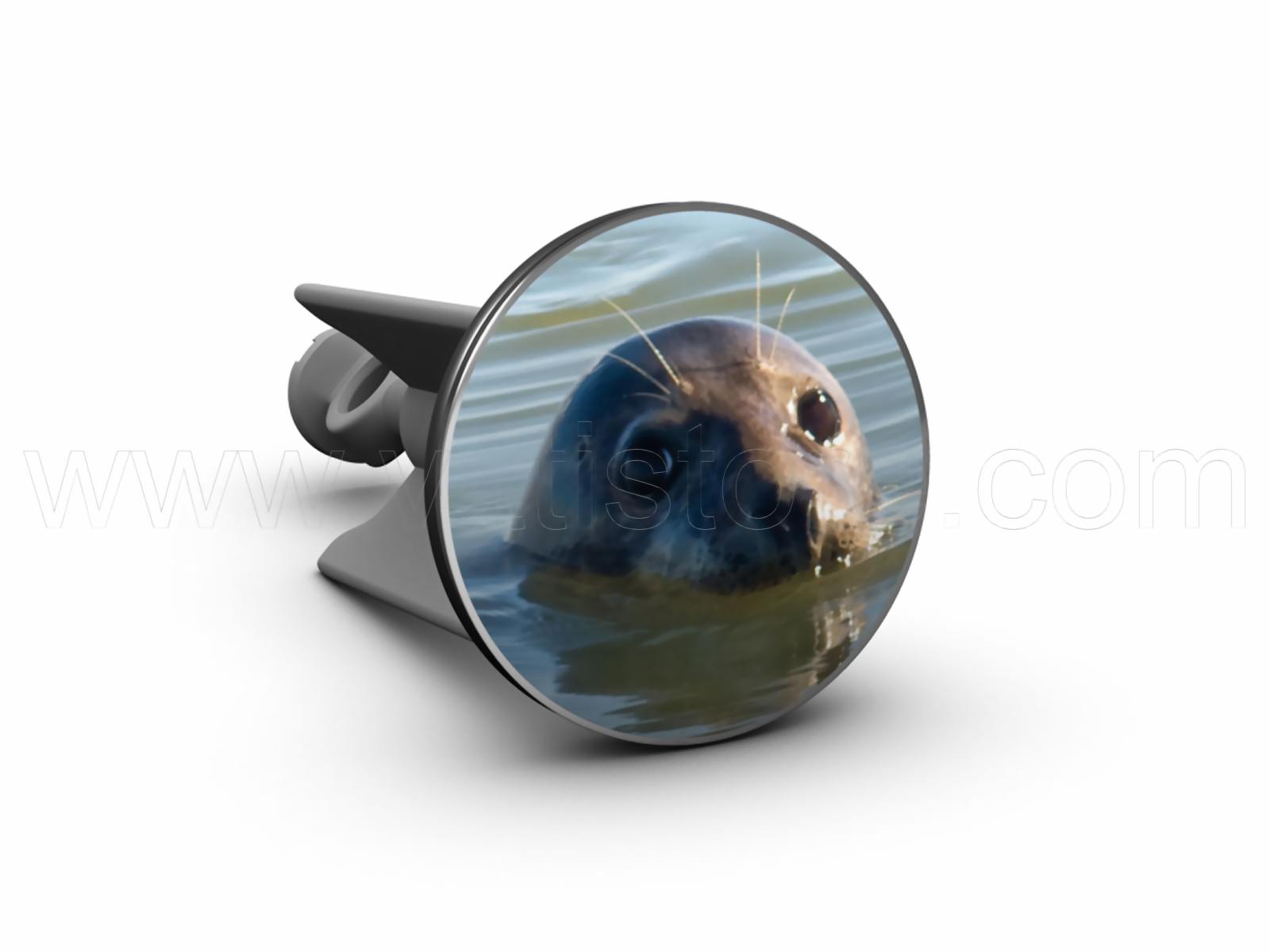 Bild von plopp Stöpsel Seehund