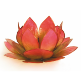 Bild für Kategorie Lotus-Lichter